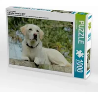 Calvendo Puzzle Labrador Retriever 2017 1000 Teile Lege-Größe 64