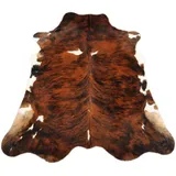 Kuhfelle Online & Nomad KUHFELL RINDERFELL BRAUN EXOTISCH Natur 200 x 220 cm STIERFELL Teppich XL