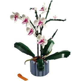 LEGO Botanicals Orchidee 10311