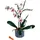 LEGO Botanicals Orchidee 10311