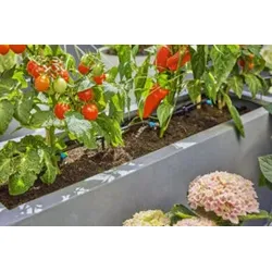 Gardena Tropfbewässerung-Set Terrasse (30 Pflanzen) Inhalt: 1 Stück