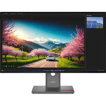 Lenovo ThinkVision P32UD-40 31,5"