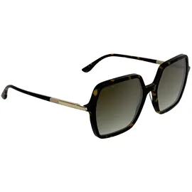 Lacoste L6079S 230 dark havana - Light Brown/CAT2