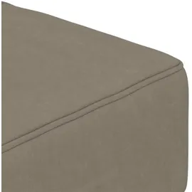 vidaXL Schlafsofa 2-Sitzer mit 2 Kissen Hellgrau Samt - Grau