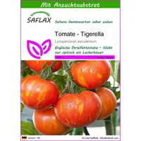 SAFLAX - Tomate - Tigerella - 10 Samen -