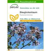 SAFLAX - Blauglockenbaum - 200 Samen - Mit keimfreiem
