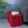 Intirilife Truhenbank Faltbar Rot 76 x 38 x 38 cm