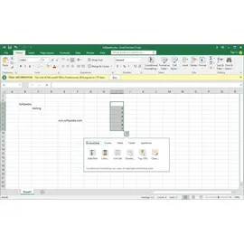 Microsoft Office Home & Student 2019 ESD ML Win Mac