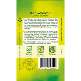 Quedlinburger Saatgut Dill, Gewöhnlicher
