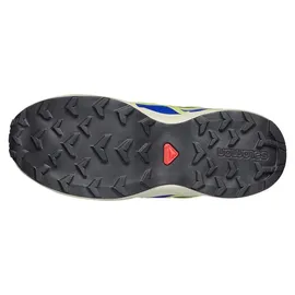Salomon Speedcross Wp Grape Leaf/Bluing/Acid Lime 37