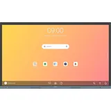 BenQ RE8604 86"