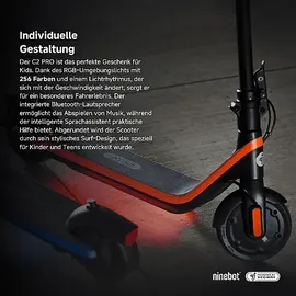 NINEBOT Segway-Ninebot F20 D E-Scooter (10 Zoll, Schwarz)