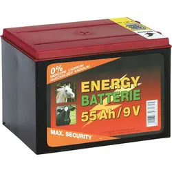Weidezaunbatterie -  55