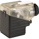 Murrelektronik Ventilbuchse 7000-29281-0000000