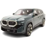 Minichamps 110023300 - XM 2023 grün 1:18