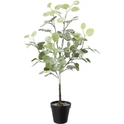 CREATIV green künstliche Pflanze Eukalyptus geeist im Topf, 58 cm, frost, 3er Set