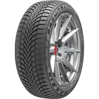 Maxxis Premitra Snow WP6 255/40 R19 100W XL
