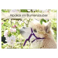 Calvendo Alpakas im Blumenzauber (Wandkalender 2026 DIN A4 quer),