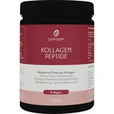 PharmaSGP GmbH pureSGP® Kollagen Peptide Pulver