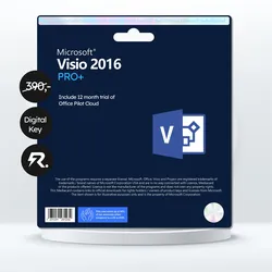 Microsoft Visio 2016: Komplexe Ideen visuell beherrschen