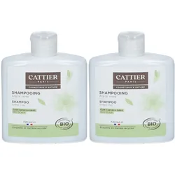 Cattier Shampoo grüne Tonerde Shampoo organische ölige Kopfhaut