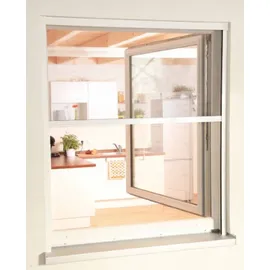 hecht International Insektenschutzrollo SMART 160 x 160 cm Weiß