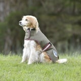 Weatherbeeta Comfitec Premier Free Parka Hundemantel Medium, 75