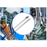 TRU Components TC-12647636 Stahlkabelbinder 290 mm 4.6 mm AISI