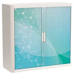 PAPERFLOW easyOffice Business Rollladenschrank 62192 2 Fachböden 110,0 x 41,5 x 104,0 cm