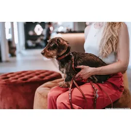 Hunter Verstellbare Führleine Canadian Up