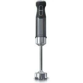 Arendo Stabmixer 1000 Watt schwarz