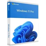 Microsoft Windows 11 Professional ESD mit online Aktiverung