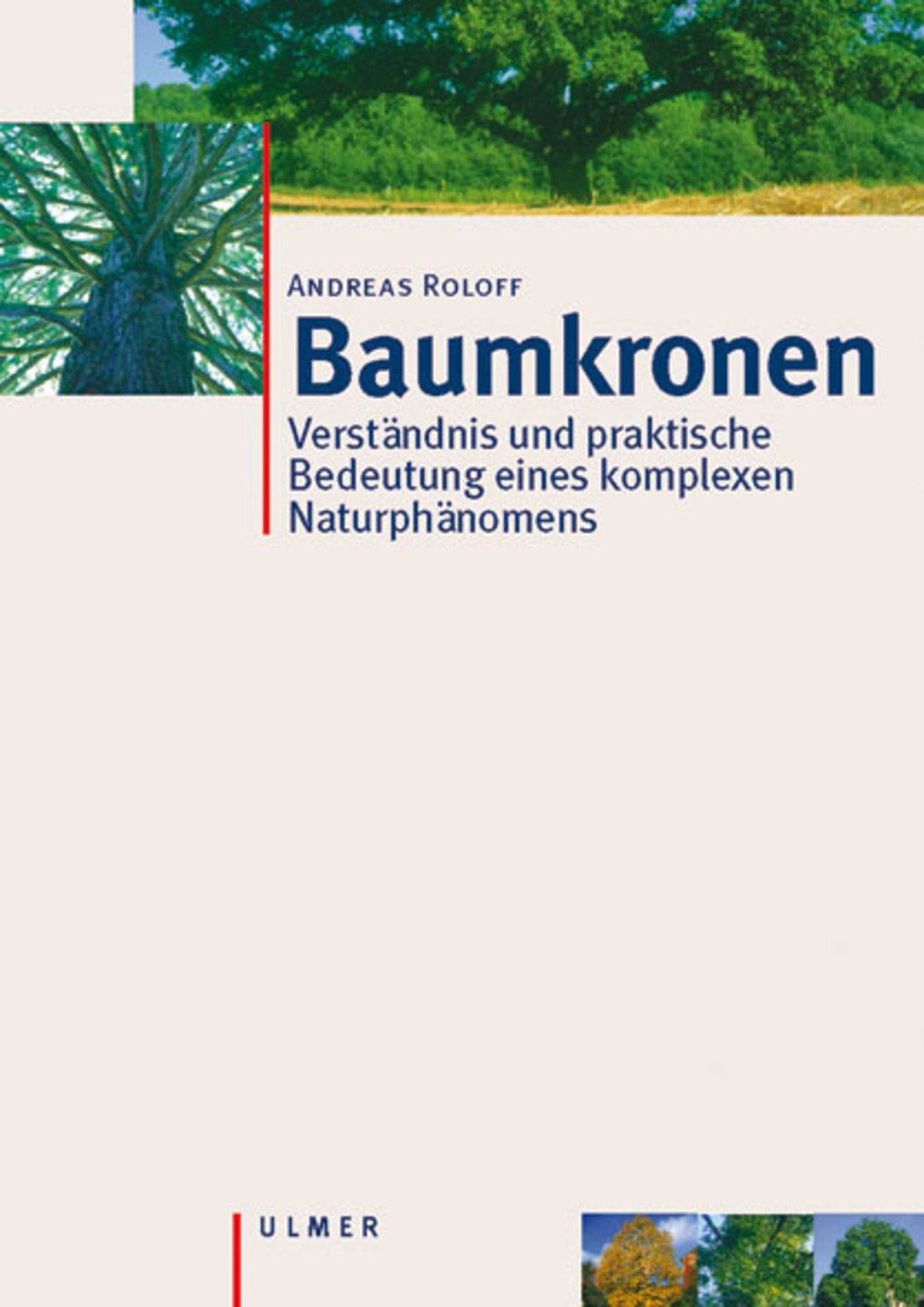 Baumkronen – Verständnis und praktische Bedeutung eines komplexen Naturphänomens