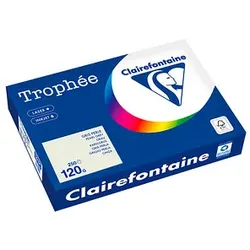 Clairefontaine Kopierpapier Trophée grau DIN A4 120 g/m2 250 Blatt