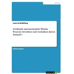 Großstadt und Anonymität. Welche Prozesse bewirken und verstärken diesen Zustand ?