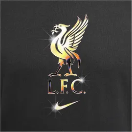Nike FC Liverpool T-Shirt 2023 grau Herren Gr. S