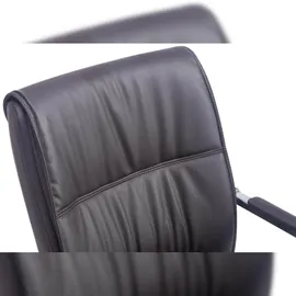 CLP Anubis XXL 2 St. Kunstleder braun