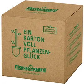 Floragard Pinienrinde fein 2-8 mm in der Box 60 L