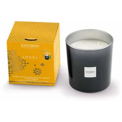 Ambre Duftkerze 450g