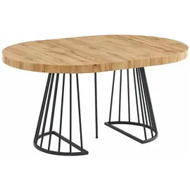 vente-unique Esstisch, Schwarz, Holz, Oval, 110x76x260 cm, Esszimmer, Tische, Esstische