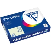Clairefontaine Kopierpapier 1974PC A4 80g lindgrün 500 Blatt