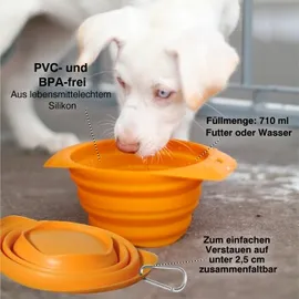 Kurgo Zusammenfaltbarer Hundenapf 700 ml Rot