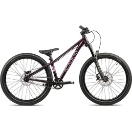 Academy Pump 5 24 Zoll RH 31 cm lila