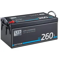 ECTIVE 12V LiFePO4 Lithium Versorgungsbatterie 260 Ah