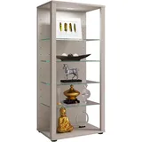 VCM Standvitrine Glasol 52 x 35 x 115 cm Silber