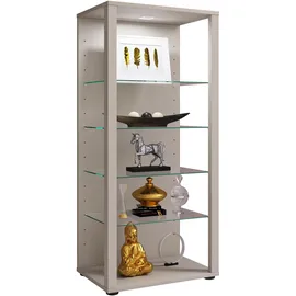 VCM Standvitrine Glasol 52 x 35 x 115 cm Silber