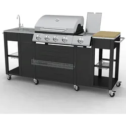 vidaXL Gasgrill mit 4+1 Flammen Schwarz