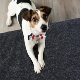 Primaflor Sauberlauf Picollo Anthrazit 1,00m x 25,00m