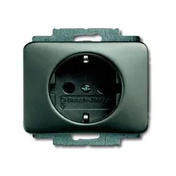 Steckdosen-Einsatz (platin)