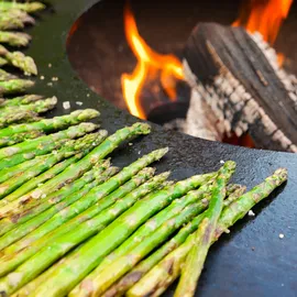 Ofyr Feuerplatte Ø 100 cm verzinkt grün
